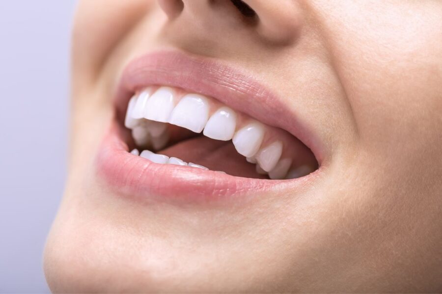 ¿Cuál es el nombre de los dientes? - Laborprothesis